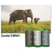 Aurifil Color Builder - Endangered Species 40wt - Sumatran Elephant