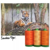 Aurifil Color Builder - Endangered Species 40wt - Sumatran Tiger