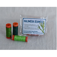 Iconic Australia Aurifil Thread Set - Great Barrier Reef 50wt Small SUNRISE - Green - Halimeda Seaweed